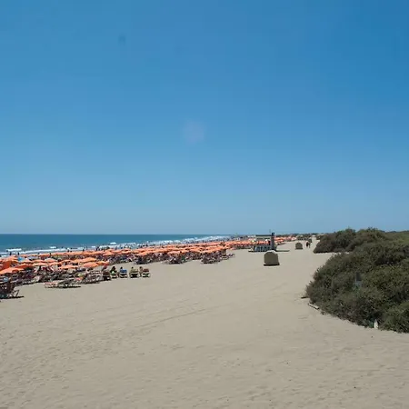 Danubio Flat -